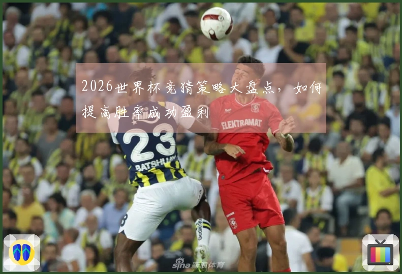2026世界杯竞猜策略大盘点，如何提高胜率成功盈利