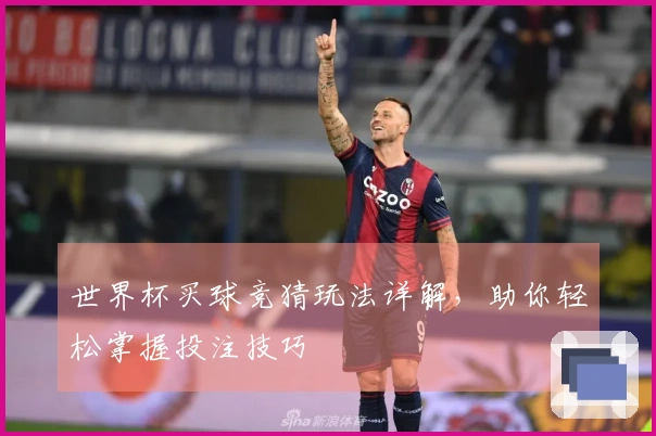 世界杯买球竞猜玩法详解，助你轻松掌握投注技巧