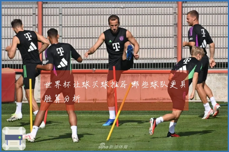 世界杯让球买球推荐 哪些球队更具胜算分析