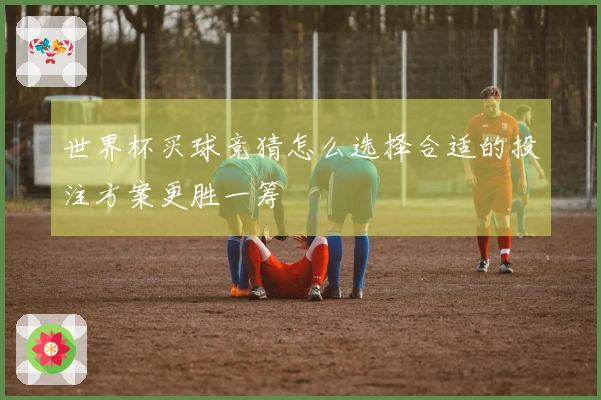 世界杯买球竞猜怎么选择合适的投注方案更胜一筹