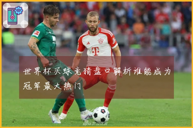 世界杯买球竞猜盘口解析谁能成为冠军最大热门