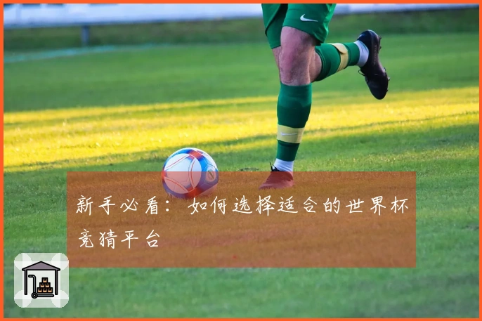 新手必看：如何选择适合的世界杯竞猜平台
