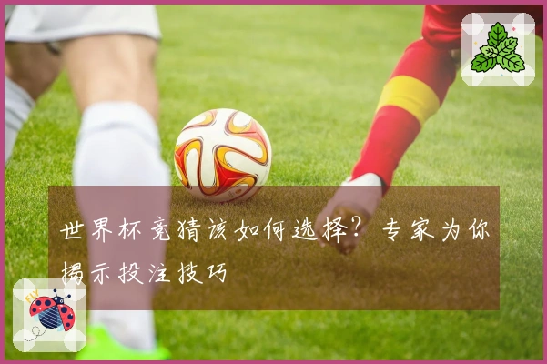 世界杯竞猜该如何选择？专家为你揭示投注技巧