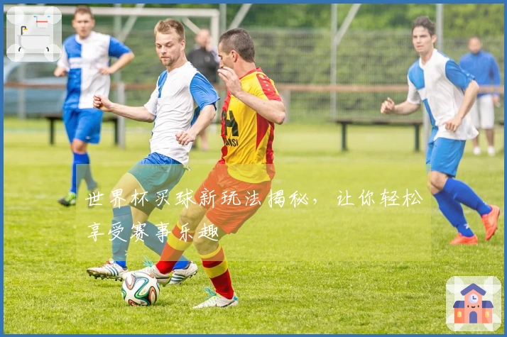 世界杯买球新玩法揭秘，让你轻松享受赛事乐趣