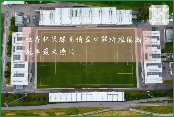 世界杯买球竞猜盘口解析谁能成为冠军最大热门