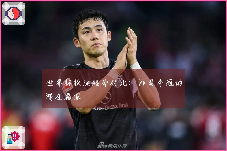 世界杯投注赔率对比：谁是夺冠的潜在赢家