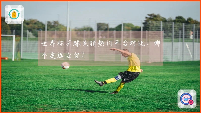世界杯买球竞猜热门平台对比，哪个更适合你？