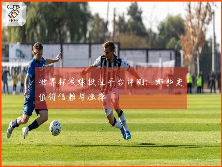 世界杯滚球投注平台评测：哪些更值得信赖与选择