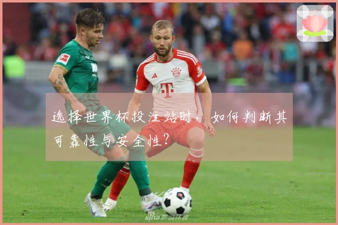 选择世界杯投注站时，如何判断其可靠性与安全性？