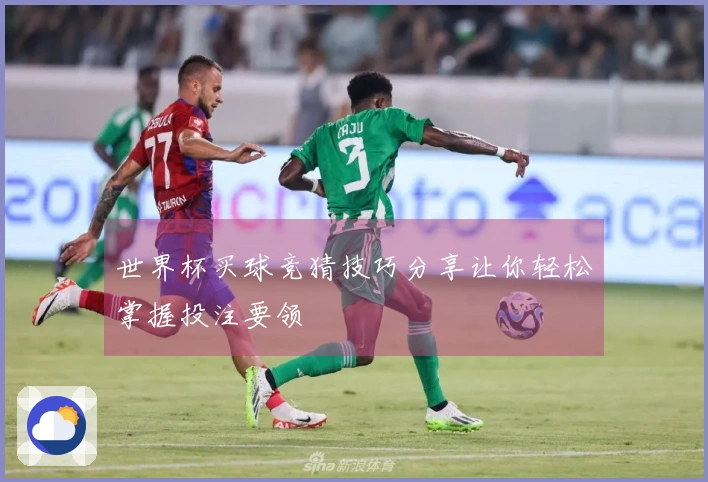 世界杯买球竞猜技巧分享让你轻松掌握投注要领