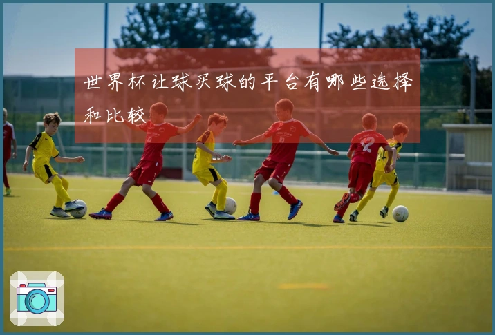 世界杯让球买球的平台有哪些选择和比较