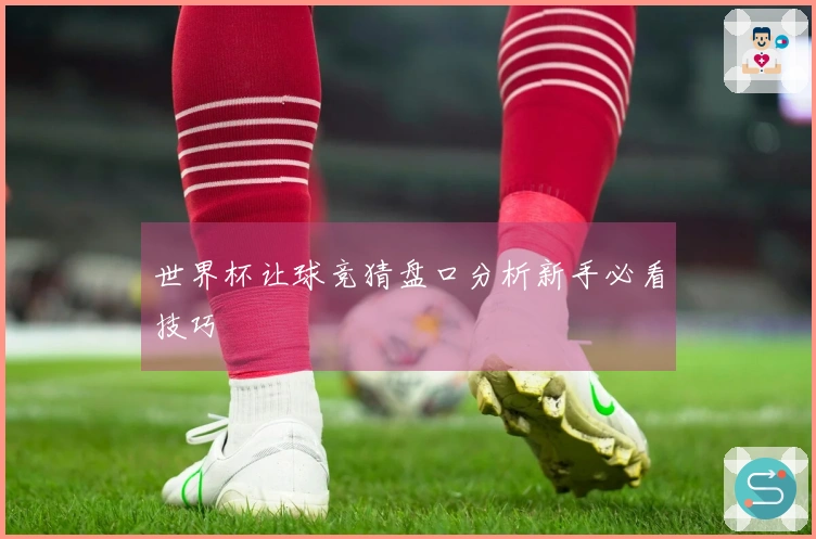 世界杯让球竞猜盘口分析新手必看技巧