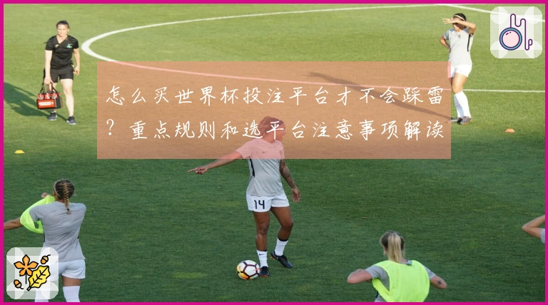 怎么买世界杯投注平台才不会踩雷？重点规则和选平台注意事项解读