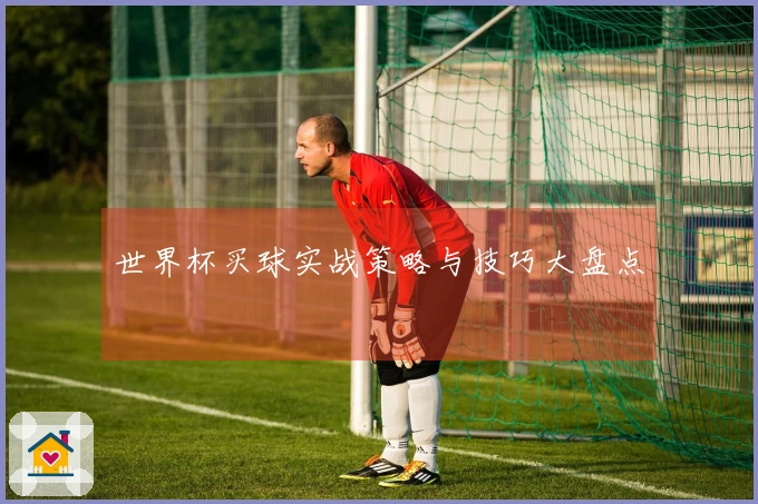 世界杯买球实战策略与技巧大盘点
