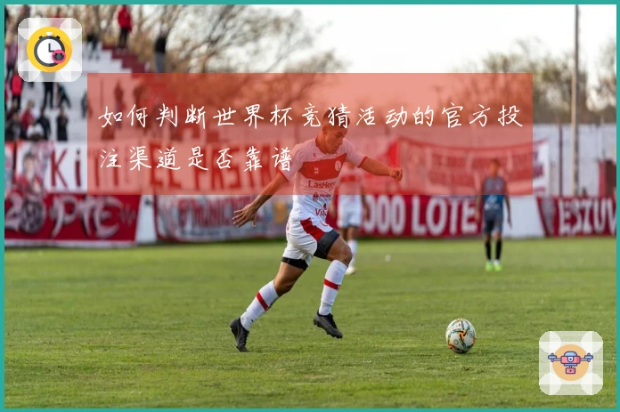 如何判断世界杯竞猜活动的官方投注渠道是否靠谱