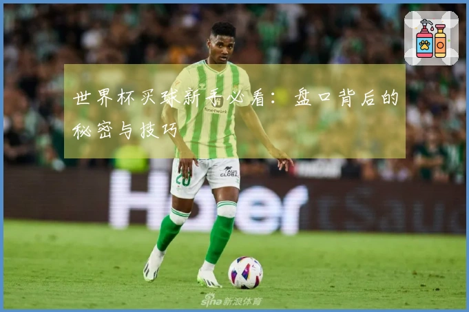 世界杯买球新手必看：盘口背后的秘密与技巧