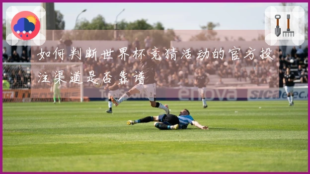 如何判断世界杯竞猜活动的官方投注渠道是否靠谱