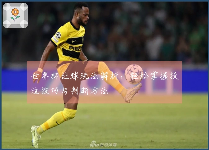 世界杯让球玩法解析，轻松掌握投注技巧与判断方法