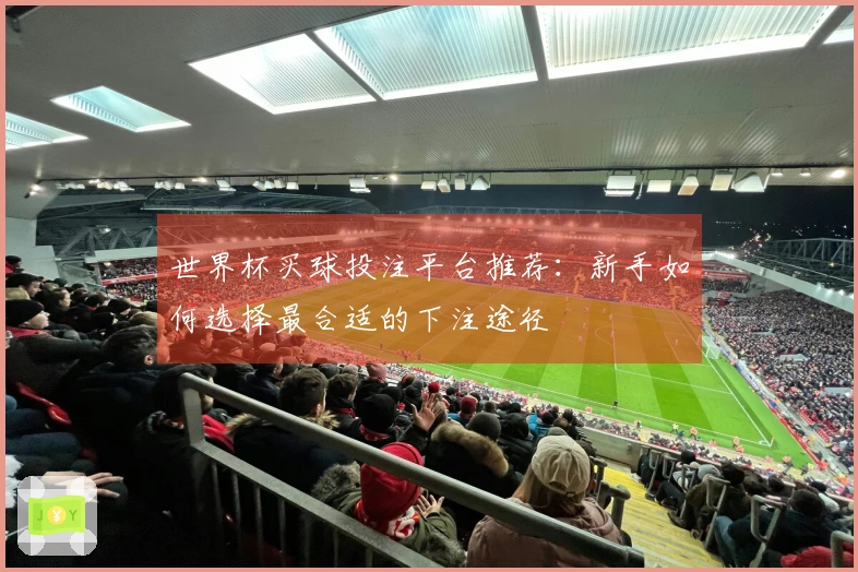 世界杯买球投注平台推荐：新手如何选择最合适的下注途径