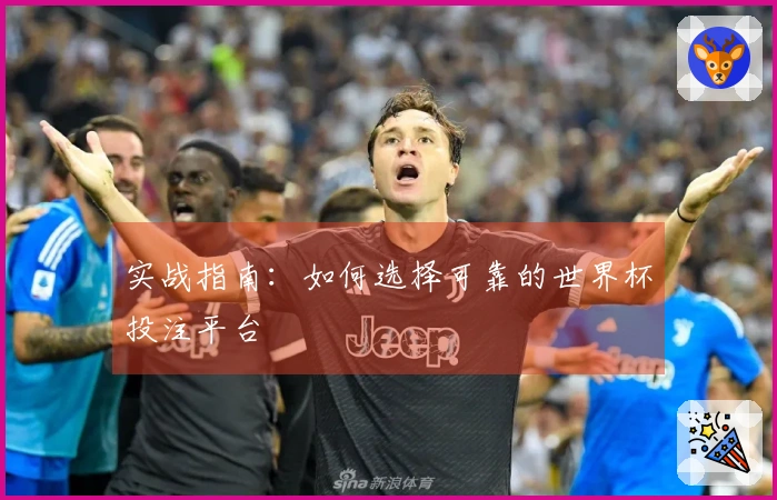 实战指南：如何选择可靠的世界杯投注平台