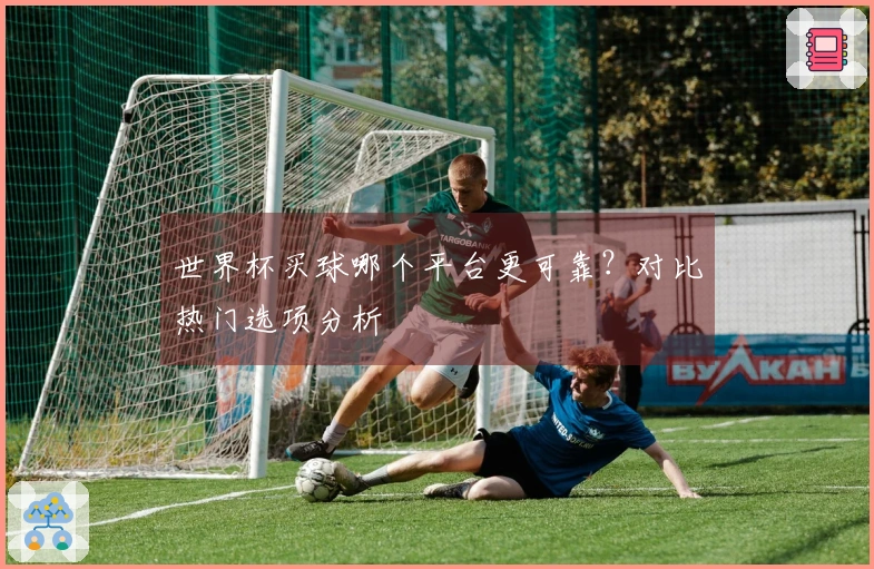 世界杯买球哪个平台更可靠？对比热门选项分析