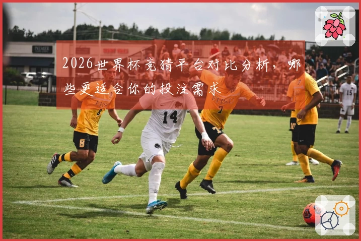 2026世界杯竞猜平台对比分析，哪些更适合你的投注需求