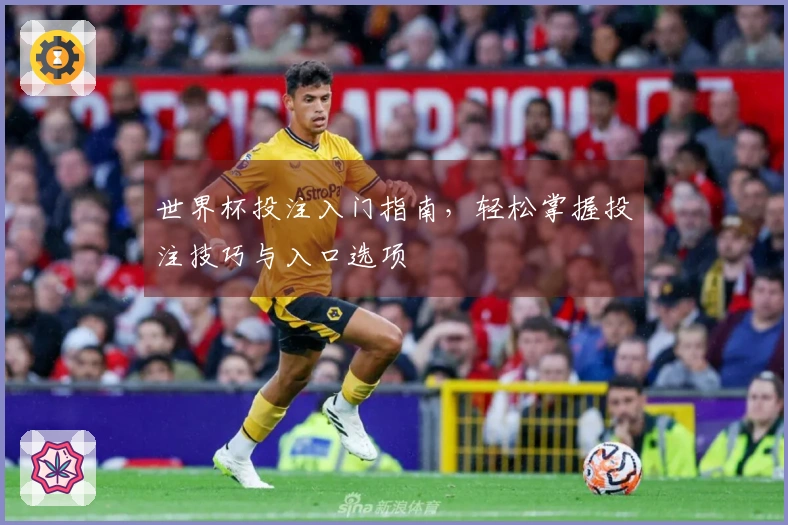 世界杯投注入门指南，轻松掌握投注技巧与入口选项