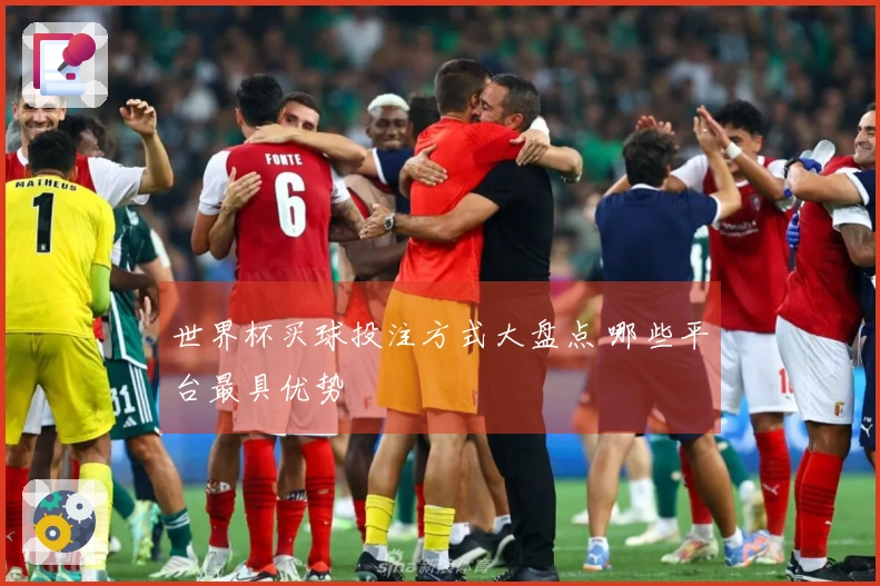 世界杯买球投注方式大盘点 哪些平台最具优势