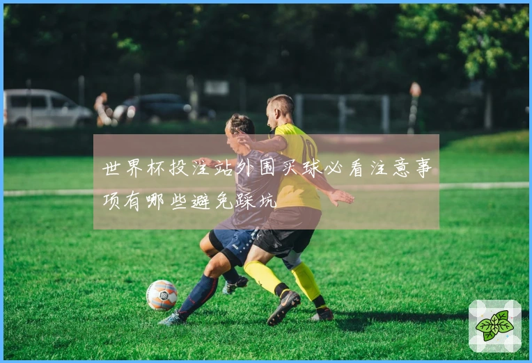 世界杯投注站外围买球必看注意事项有哪些避免踩坑