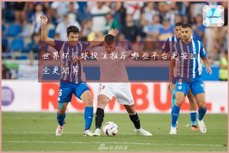 世界杯买球投注推荐 哪些平台更安全更划算