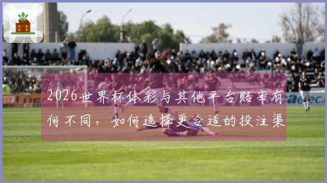 2026世界杯体彩与其他平台赔率有何不同，如何选择更合适的投注渠道