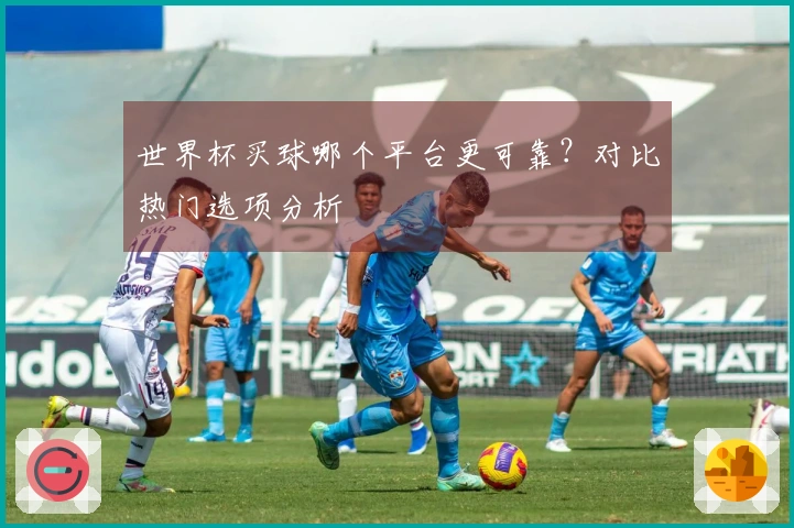 世界杯买球哪个平台更可靠？对比热门选项分析