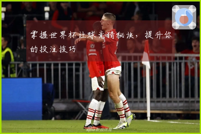 掌握世界杯让球竞猜秘诀，提升你的投注技巧
