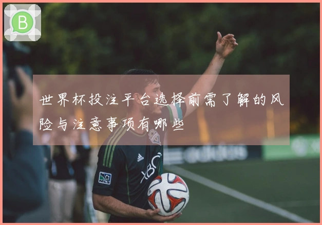 世界杯投注平台选择前需了解的风险与注意事项有哪些