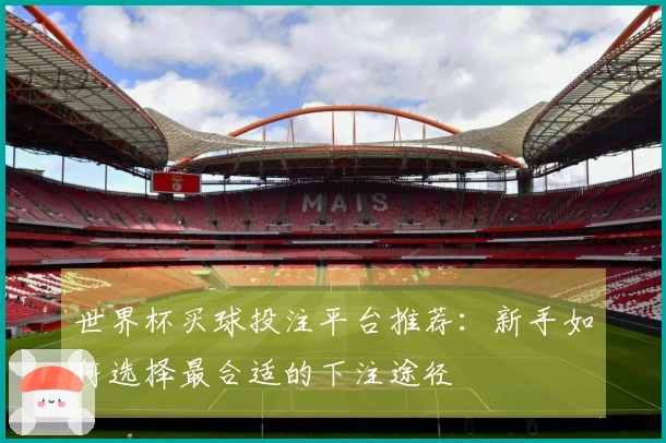 世界杯买球投注平台推荐：新手如何选择最合适的下注途径